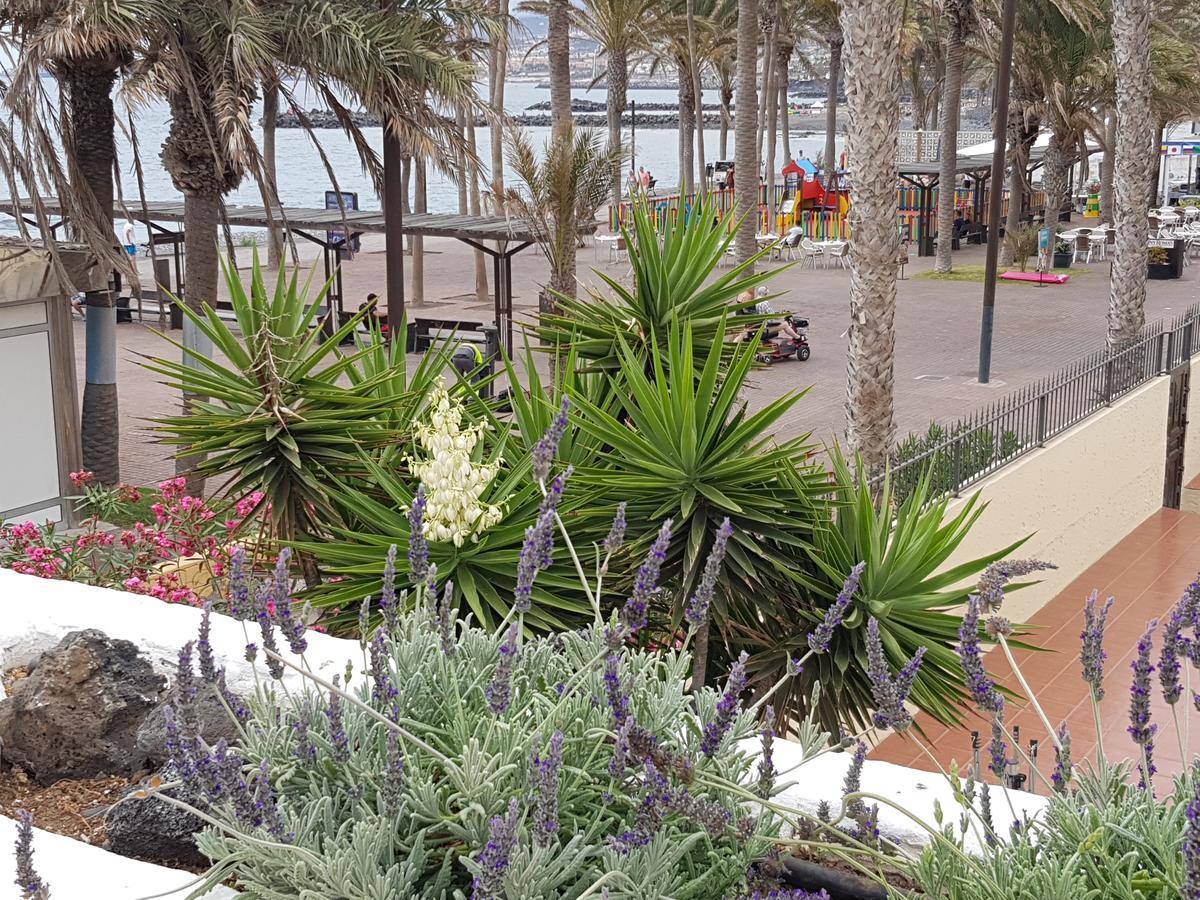 Vila Lavanda Playa de las Americas  Exterior photo