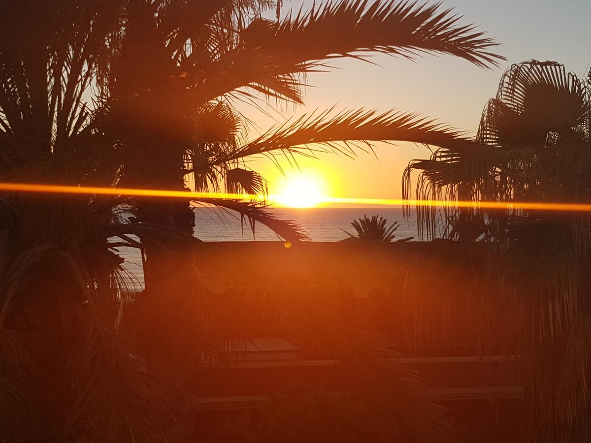 Vila Lavanda Playa de las Americas  Exterior photo